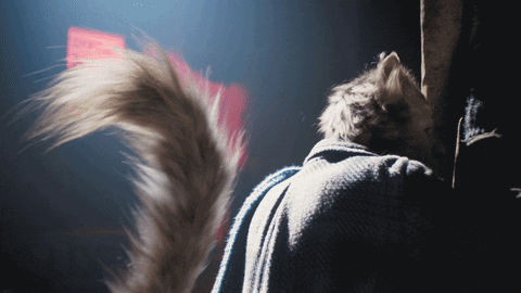Ian Mckellen Yes GIF by Cats Movie
