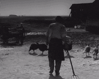 Film Throw GIF
