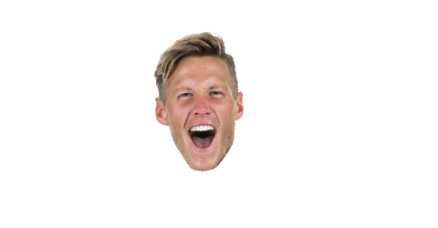 Football Soccer Sticker by VfL Wolfsburg