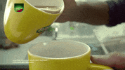 india chai GIF by bypriyashah