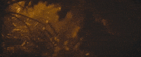 buzzin GIF by Alina Baraz