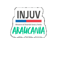 Injuv Chile Sticker by INJUV