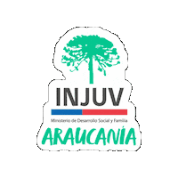 Injuv Chile Sticker by INJUV