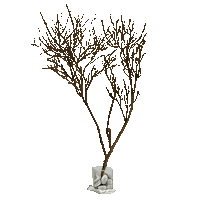 Tree Room Sticker
