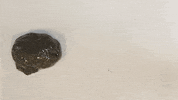 Robot Satisfying GIF by New Scientist