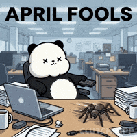 What Is Happening GIF by Kanpai Pandas