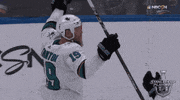 celebrate ice hockey GIF by NHL