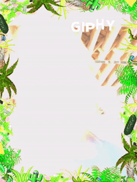 lightspeed nextplaycapital GIF