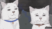 season 1 cats GIF by Animals