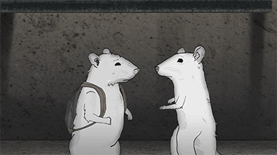mark duplass cats GIF by Animals