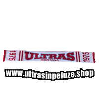 Mantova Calcio Sticker by UltrasInPeluze