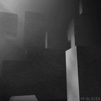 pislices loop 3d trippy black and white GIF