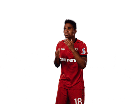 Bayer 04 Love GIF by Bayer 04 Leverkusen