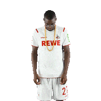 1 Fc Cologne Bundesliga Sticker by 1. FC Köln