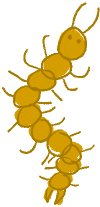 Bugs Centipede Sticker