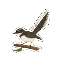 Fantail Sticker