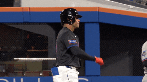 Celebrate Juan Soto GIF by New York Mets