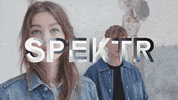 spektr logo productioncompany spektr GIF