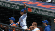 Celebrate Major League Baseball GIF by New York Mets
