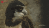 Ft Worth What GIF by Visit Fort Worth