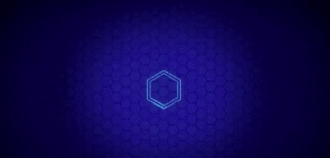 noobees GIF