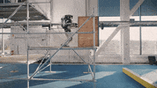 Atlas Robot GIF by BostonDynamics