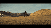 game of thrones horse GIF by 4AD