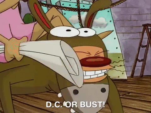 nicksplat GIF