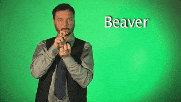 Sign Language Beaver GIF by Sign with Robert