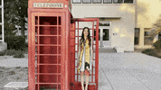 Grad Celebrate GIF by UC Davis