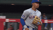 Happy Ny Mets GIF by New York Mets