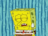 season 4 bummer vacation GIF by SpongeBob SquarePants