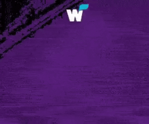 Mihaelovich giphyupload GIF