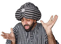 Idiot What Sticker by The Sultan