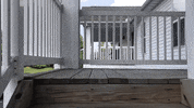 happy shiba inu GIF by KeepUpWithJaz
