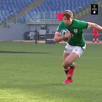 Irish Rugby Celebration GIF by Guinness Six Nations