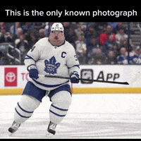 Maple Leafs GIF