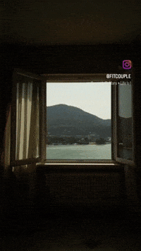 GIF by Comoyachting
