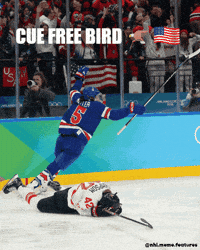 Usa Womenshockey GIF