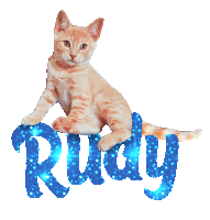 Cat Ginger Sticker