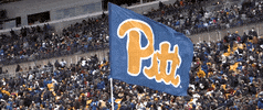 GIF by Pitt Panthers