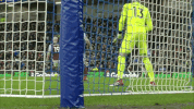 Soccer Futbol GIF by Brighton & Hove Albion Football Club