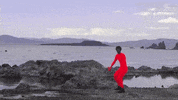 Beach Orange GIF by Sam Gendel