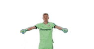 Bayer 04 Goal GIF by Bayer 04 Leverkusen