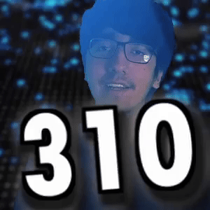 310