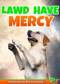 PetJuvenate petjuvenate henlo hooman fren love rescue dogs treatos and woofer for pupper GIF