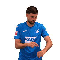Florian Grillitsch Sport Sticker by TSG Hoffenheim