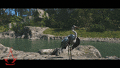 Bird Shake It Off GIF by Assassin's Creed
