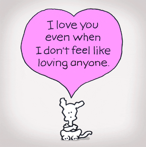 chippythedog love angry i love you chippythedog GIF