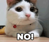 No GIF